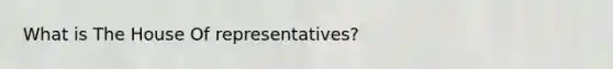 What is The House Of representatives?