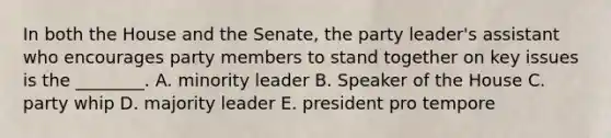 In both the House and the Senate, the party leader's assistant who encourages party members to stand together on key issues is the ________. A. minority leader B. Speaker of the House C. party whip D. majority leader E. president pro tempore