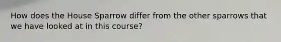 How does the House Sparrow differ from the other sparrows that we have looked at in this course?