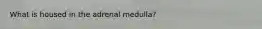 What is housed in the adrenal medulla?