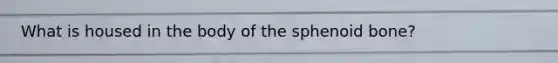 What is housed in the body of the sphenoid bone?