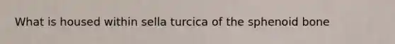 What is housed within sella turcica of the sphenoid bone