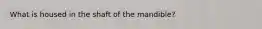 What is housed in the shaft of the mandible?