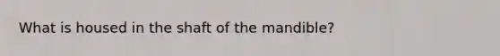 What is housed in the shaft of the mandible?