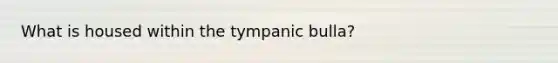 What is housed within the tympanic bulla?