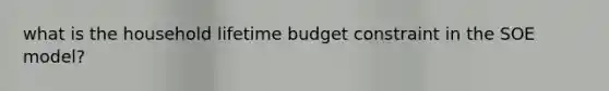 what is the household lifetime budget constraint in the SOE model?