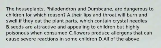 The houseplants, Philodendron and Dumbcane, are dangerous to children for which reason? A.their lips and throat will burn and swell if they eat the plant parts, which contain crystal needles B.seeds are attractive and appealing to children but highly poisonous when consumed C.flowers produce allergens that can cause severe reactions in some children D.All of the above