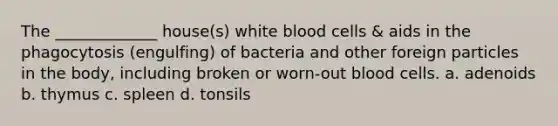 The _____________ house(s) white blood cells & aids in the phagocytosis (engulfing) of bacteria and other foreign particles in the body, including broken or worn-out blood cells. a. adenoids b. thymus c. spleen d. tonsils