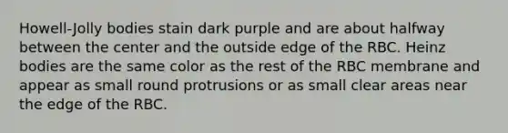 Howell-Jolly bodies stain dark purple and are about halfway between the center and the outside edge of the RBC. Heinz bodies are the same color as the rest of the RBC membrane and appear as small round protrusions or as small clear areas near the edge of the RBC.