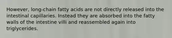 However, long-chain fatty acids are not directly released into the intestinal capillaries. Instead they are absorbed into the fatty walls of the intestine villi and reassembled again into triglycerides.