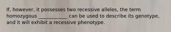 If, however, it possesses two recessive alleles, the term homozygous ____________ can be used to describe its genotype, and it will exhibit a recessive phenotype.