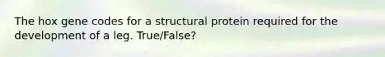 The hox gene codes for a structural protein required for the development of a leg. True/False?