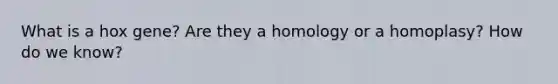 What is a hox gene? Are they a homology or a homoplasy? How do we know?