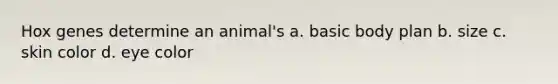 Hox genes determine an animal's a. basic body plan b. size c. skin color d. eye color