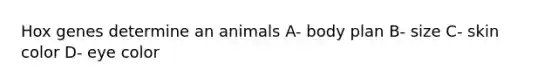 Hox genes determine an animals A- body plan B- size C- skin color D- eye color