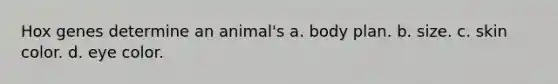 Hox genes determine an animal's a. body plan. b. size. c. skin color. d. eye color.