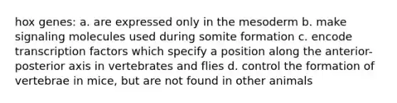 hox genes: a. are expressed only in the mesoderm b. make signaling molecules used during somite formation c. encode transcription factors which specify a position along the anterior-posterior axis in vertebrates and flies d. control the formation of vertebrae in mice, but are not found in other animals