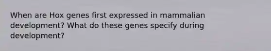 When are Hox genes first expressed in mammalian development? What do these genes specify during development?