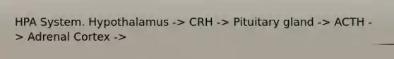 HPA System. Hypothalamus -> CRH -> Pituitary gland -> ACTH -> Adrenal Cortex ->