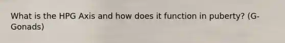 What is the HPG Axis and how does it function in puberty? (G- Gonads)