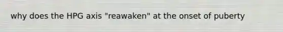 why does the HPG axis "reawaken" at the onset of puberty