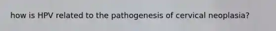 how is HPV related to the pathogenesis of cervical neoplasia?