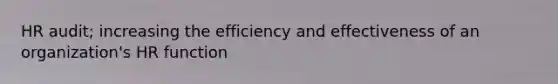 HR audit; increasing the efficiency and effectiveness of an organization's HR function