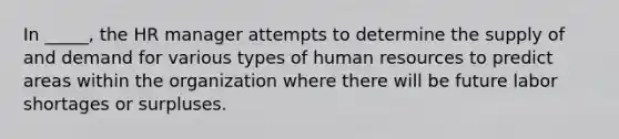 In _____, the HR manager attempts to determine the supply of and demand for various types of human resources to predict areas within the organization where there will be future labor shortages or surpluses.