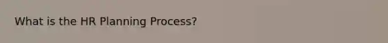 What is the HR Planning Process?