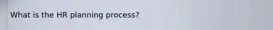 What is the HR planning process?