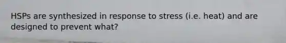 HSPs are synthesized in response to stress (i.e. heat) and are designed to prevent what?