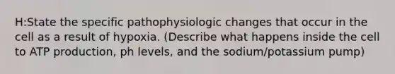 H:State the specific pathophysiologic changes that occur in the cell as a result of hypoxia. (Describe what happens inside the cell to ATP production, ph levels, and the sodium/potassium pump)