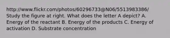 http://www.flickr.com/photos/60296733@N06/5513983386/ Study the figure at right. What does the letter A depict? A. Energy of the reactant B. Energy of the products C. Energy of activation D. Substrate concentration