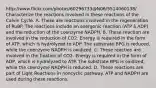 http://www.flickr.com/photos/60296733@N06/5514060138/ Characterize the reactions involved in these reactions of the Calvin Cycle. A. These are reactions involved in the regeneration of RuBP. The reactions include an exergonic reaction (ATP à ADP) and the reduction of the coenzyme NADPH. B. These reaction are involved in the reduction of CO2. Energy is required in the form of ATP, which is hydrolyzed to ADP. The substrate BPG is reduced, while the coenzyme NADPH is oxidized. C. These reaction are involved in the fixation of CO2. Energy is required in the form of ADP, which is hydrolyzed to ATP. The substrate BPG is oxidized, while the coenzyme NADPH is reduced. D. These reactions are part of Light Reactions in noncyclic pathway. ATP and NADPH are used during these reactions.