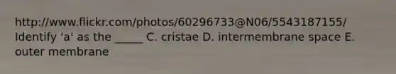 http://www.flickr.com/photos/60296733@N06/5543187155/ Identify 'a' as the _____ C. cristae D. intermembrane space E. outer membrane