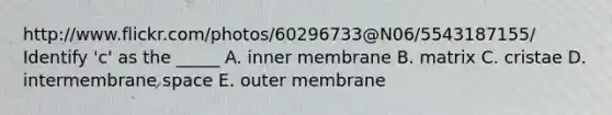 http://www.flickr.com/photos/60296733@N06/5543187155/ Identify 'c' as the _____ A. inner membrane B. matrix C. cristae D. intermembrane space E. outer membrane