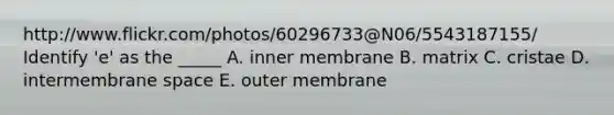 http://www.flickr.com/photos/60296733@N06/5543187155/ Identify 'e' as the _____ A. inner membrane B. matrix C. cristae D. intermembrane space E. outer membrane