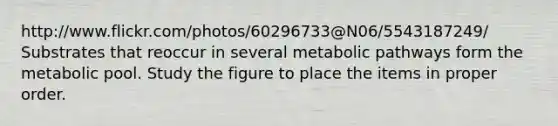 http://www.flickr.com/photos/60296733@N06/5543187249/ Substrates that reoccur in several metabolic pathways form the metabolic pool. Study the figure to place the items in proper order.