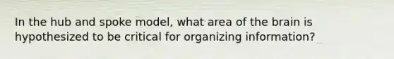 In the hub and spoke model, what area of the brain is hypothesized to be critical for organizing information?