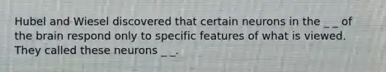 Hubel and Wiesel discovered that certain neurons in the _ _ of the brain respond only to specific features of what is viewed. They called these neurons _ _.