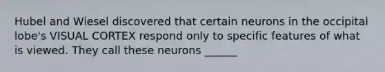 Hubel and Wiesel discovered that certain neurons in the occipital lobe's VISUAL CORTEX respond only to specific features of what is viewed. They call these neurons ______