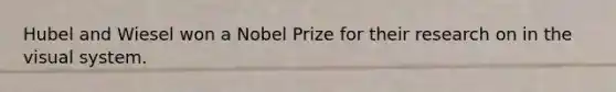 Hubel and Wiesel won a Nobel Prize for their research on in the visual system.