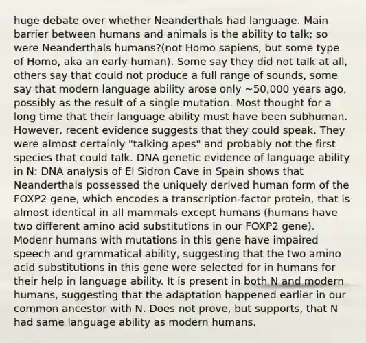 huge debate over whether Neanderthals had language. Main barrier between humans and animals is the ability to talk; so were Neanderthals humans?(not Homo sapiens, but some type of Homo, aka an early human). Some say they did not talk at all, others say that could not produce a full range of sounds, some say that modern language ability arose only ~50,000 years ago, possibly as the result of a single mutation. Most thought for a long time that their language ability must have been subhuman. However, recent evidence suggests that they could speak. They were almost certainly "talking apes" and probably not the first species that could talk. DNA genetic evidence of language ability in N: DNA analysis of El Sidron Cave in Spain shows that Neanderthals possessed the uniquely derived human form of the FOXP2 gene, which encodes a transcription-factor protein, that is almost identical in all mammals except humans (humans have two different amino acid substitutions in our FOXP2 gene). Modenr humans with mutations in this gene have impaired speech and grammatical ability, suggesting that the two amino acid substitutions in this gene were selected for in humans for their help in language ability. It is present in both N and modern humans, suggesting that the adaptation happened earlier in our common ancestor with N. Does not prove, but supports, that N had same language ability as modern humans.