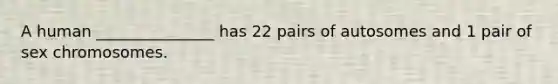 A human _______________ has 22 pairs of autosomes and 1 pair of sex chromosomes.