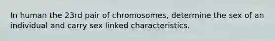 In human the 23rd pair of chromosomes, determine the sex of an individual and carry sex linked characteristics.