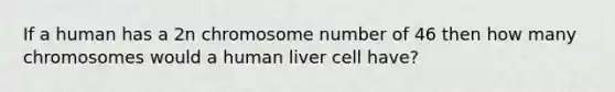 If a human has a 2n chromosome number of 46 then how many chromosomes would a human liver cell have?