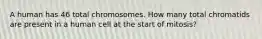 A human has 46 total chromosomes. How many total chromatids are present in a human cell at the start of mitosis?