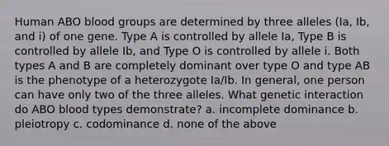 Human ABO blood groups are determined by three alleles (Ia, Ib, and i) of one gene. Type A is controlled by allele Ia, Type B is controlled by allele Ib, and Type O is controlled by allele i. Both types A and B are completely dominant over type O and type AB is the phenotype of a heterozygote Ia/Ib. In general, one person can have only two of the three alleles. What genetic interaction do ABO blood types demonstrate? a. incomplete dominance b. pleiotropy c. codominance d. none of the above