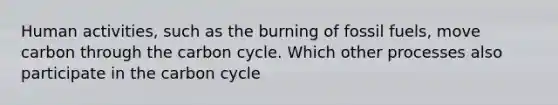 Human activities, such as the burning of fossil fuels, move carbon through <a href='https://www.questionai.com/knowledge/kMvxsmmBPd-the-carbon-cycle' class='anchor-knowledge'>the carbon cycle</a>. Which other processes also participate in the carbon cycle