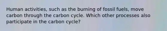 Human activities, such as the burning of fossil fuels, move carbon through the carbon cycle. Which other processes also participate in the carbon cycle?